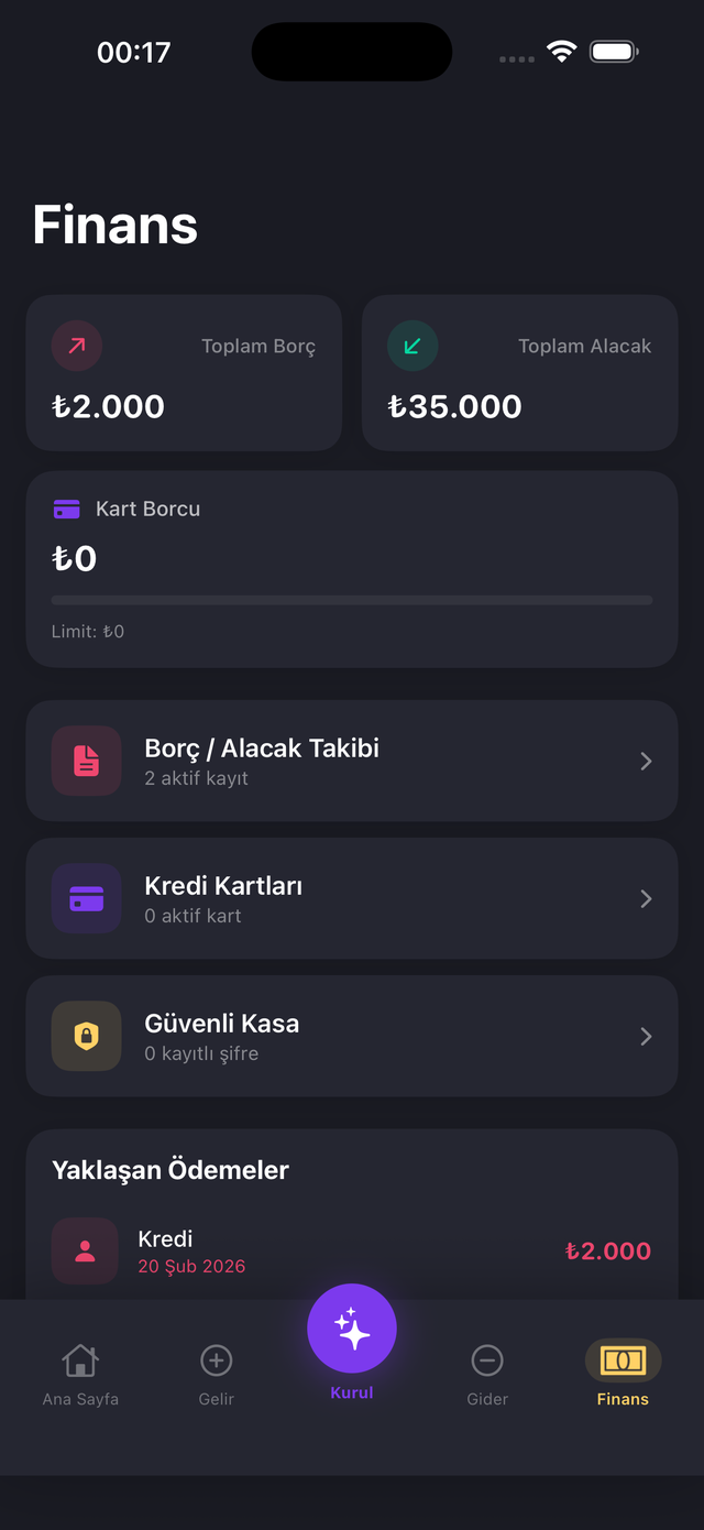 Borç alacak takibi ve kredi kartı yönetimi — finansal yönetim merkezi